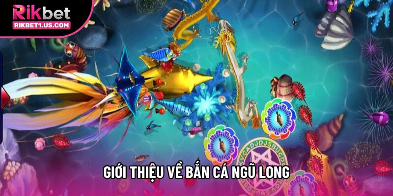 Giới thiệu về bắn cá ngũ long